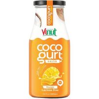 Vinut cocogurt nápoj 280ml s příchutí manga