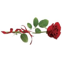 Delicadore bonboniéra růže 195g