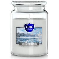 Bispol svíčka winter air 500g