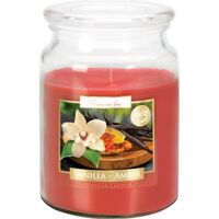 Bispol svíčka vanilla amber snd99-355 500g
